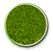 Premium artificial grass in Lebanon